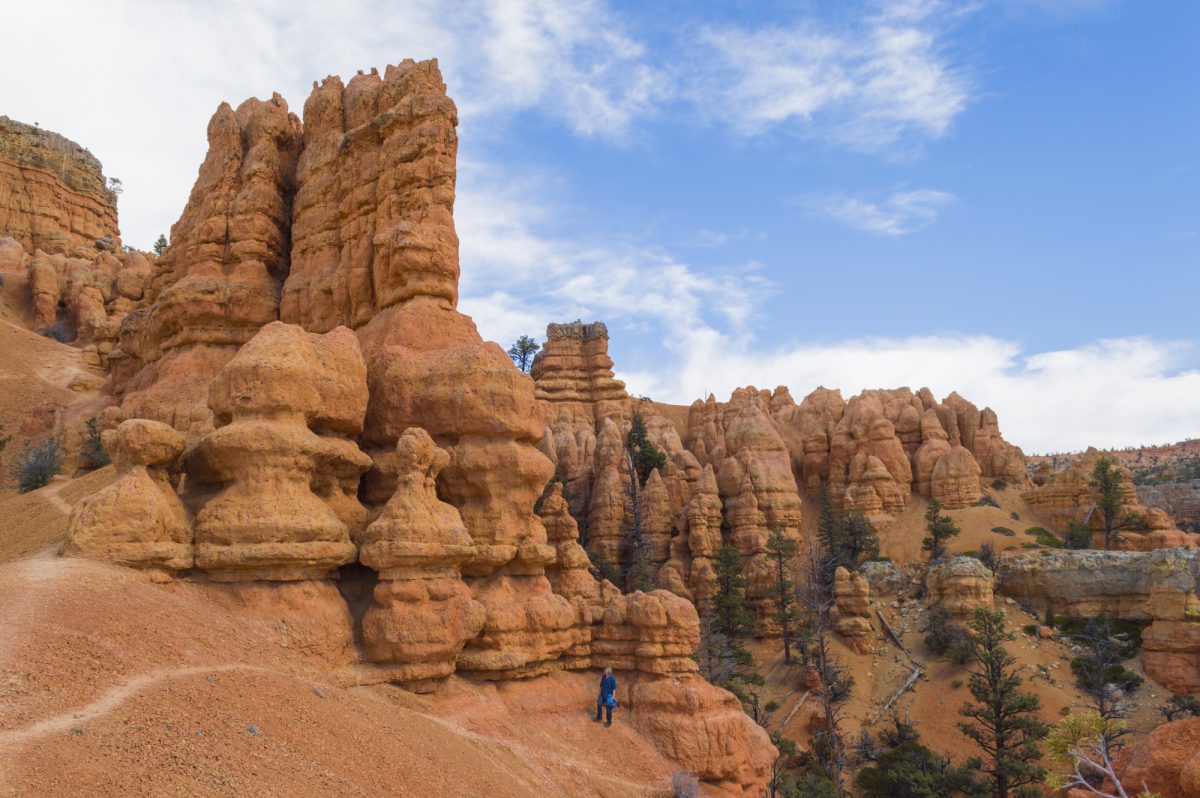 Striking rock formation with pine trees and a blue sky at Red Canyon in the Utah Canyon Country. 
