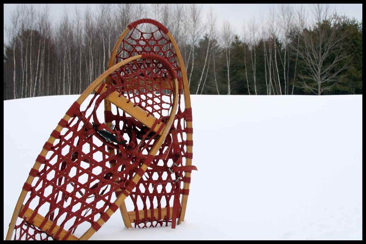 a pair of Snowshoes