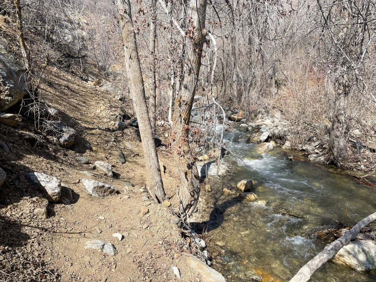 Farmington Creek Trail Lower Section