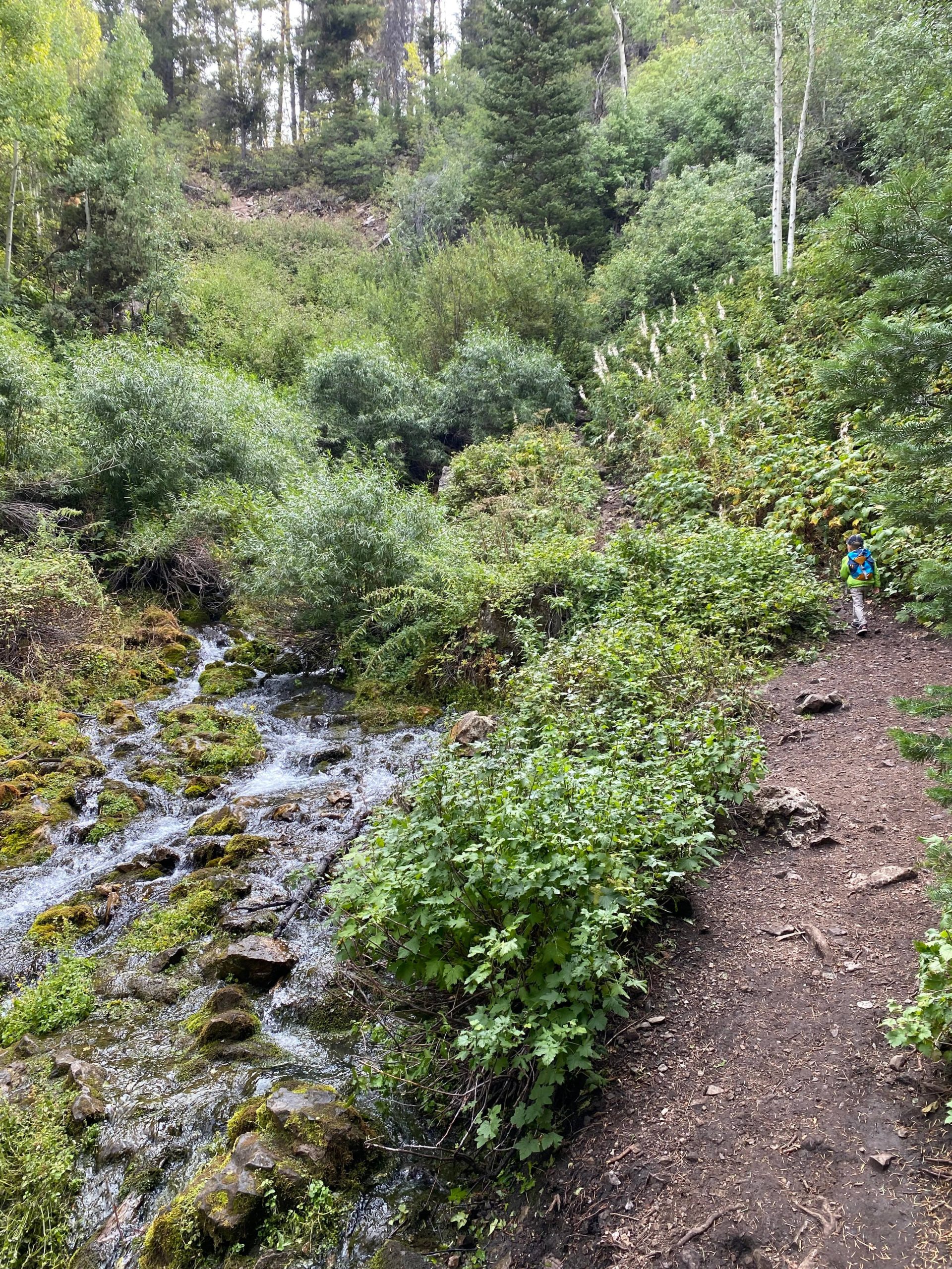 Nobletts creek trail utah